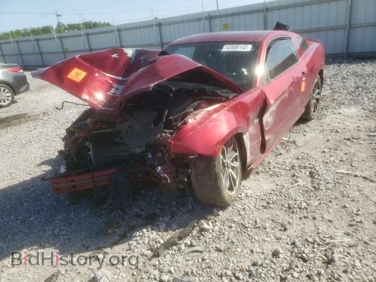 2014 FORD MUSTANG - VIN: 1ZVBP8CF1E5228096 - Фото 2