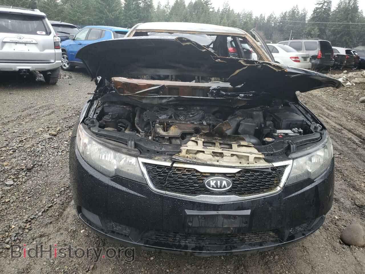 2012 KIA FORTE - VIN: KNAFT4A29C5523563 - Фото 5