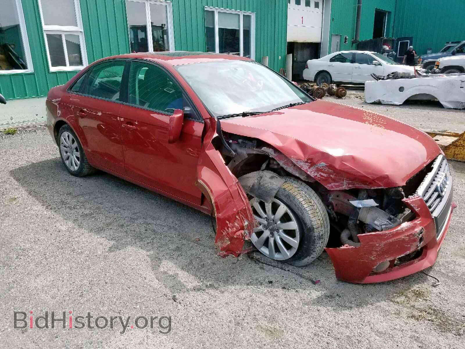 Фотография WAUBFCFL6AN060408 - AUDI A4 2010