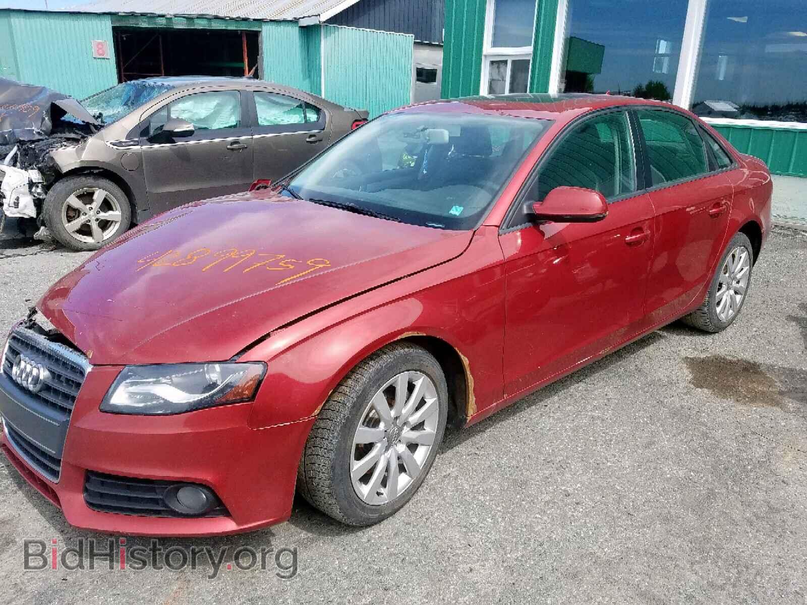 2010 AUDI A4 - VIN: WAUBFCFL6AN060408 - Фото 2