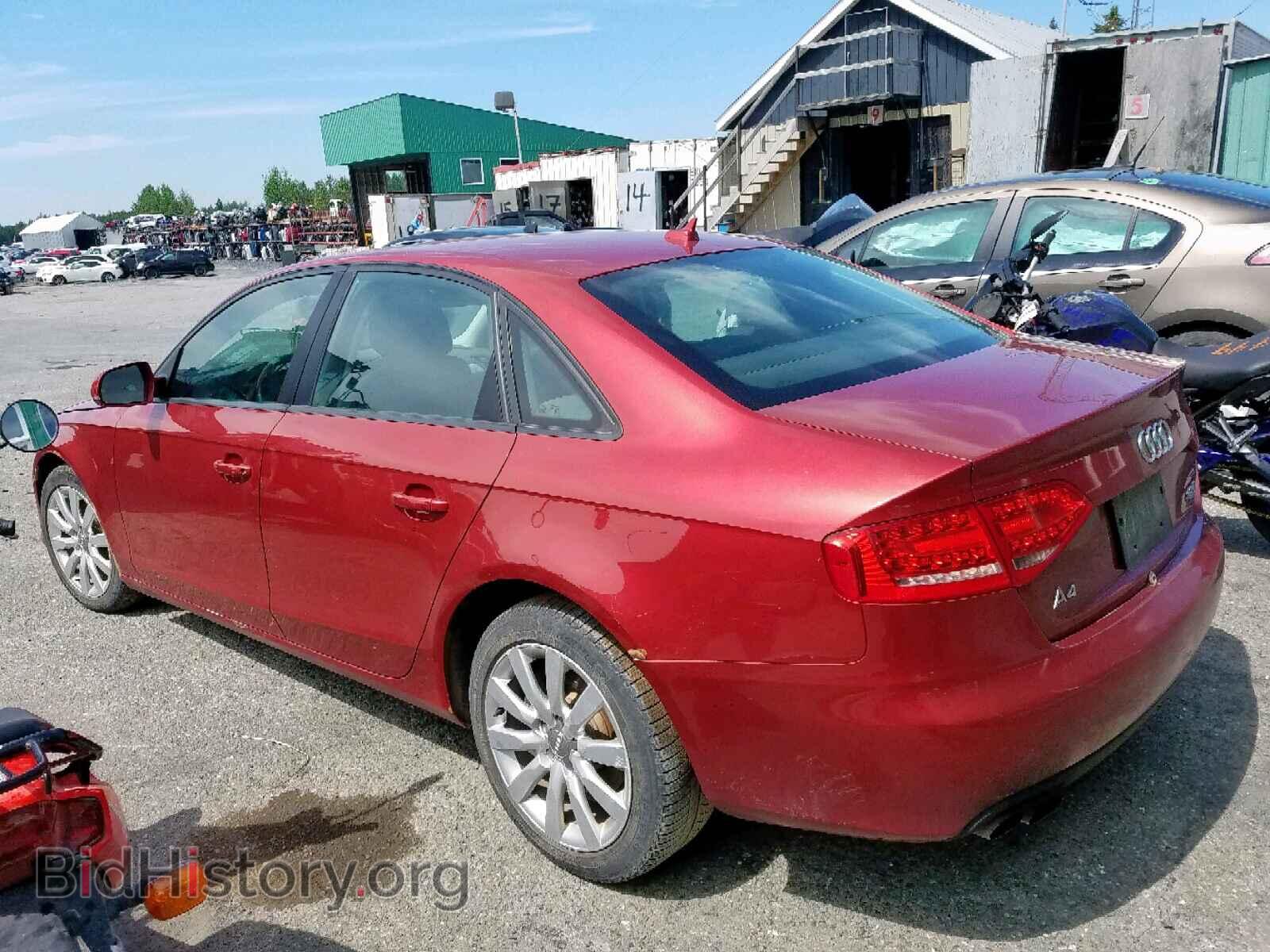 2010 AUDI A4 - VIN: WAUBFCFL6AN060408 - Фото 3