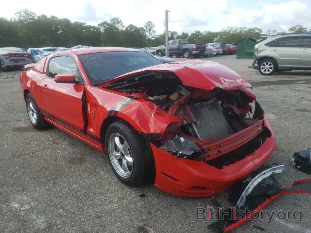 Photo 1ZVBP8AM7E5264411 - FORD MUSTANG 2014