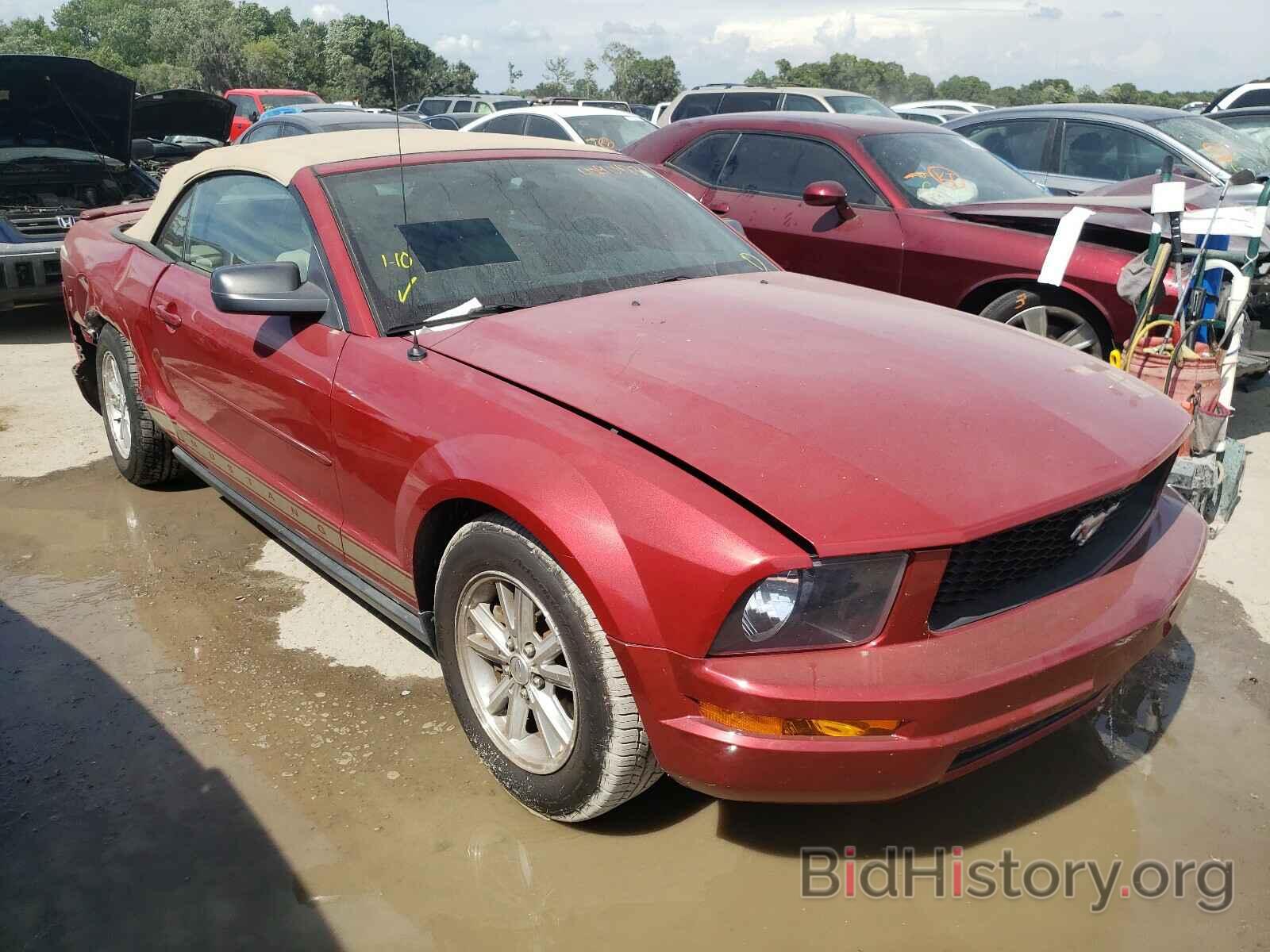 Photo 1ZVHT84N785198182 - FORD MUSTANG 2008