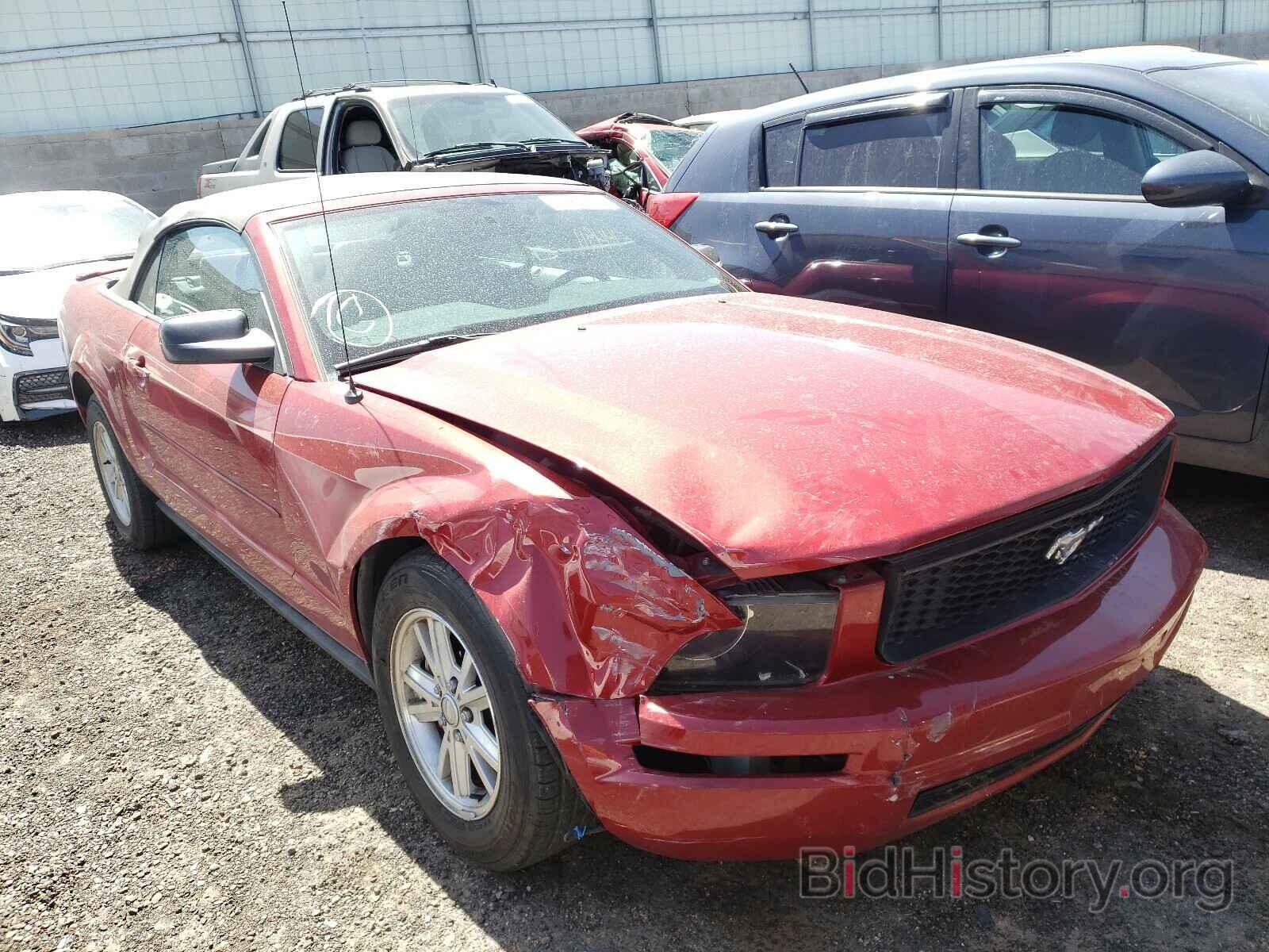 Photo 1ZVHT84N085204615 - FORD MUSTANG 2008