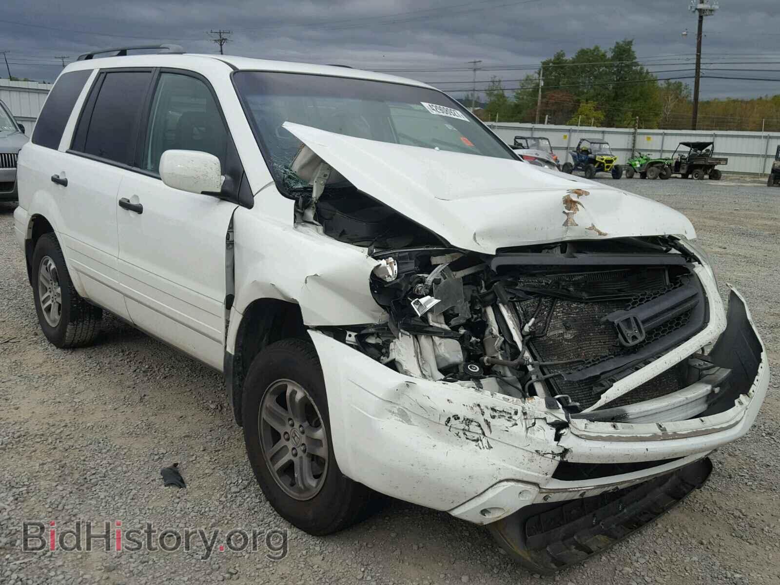 Фотография 5FNYF18595B053795 - HONDA PILOT 2005