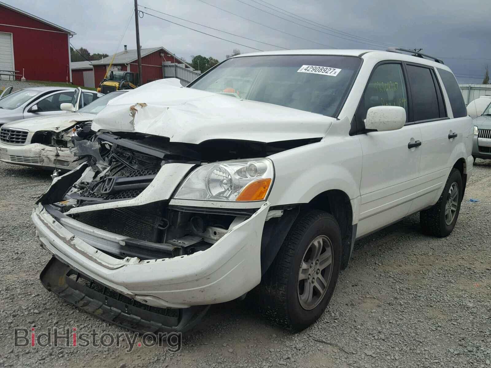 2005 HONDA PILOT - VIN: 5FNYF18595B053795 - Фото 2