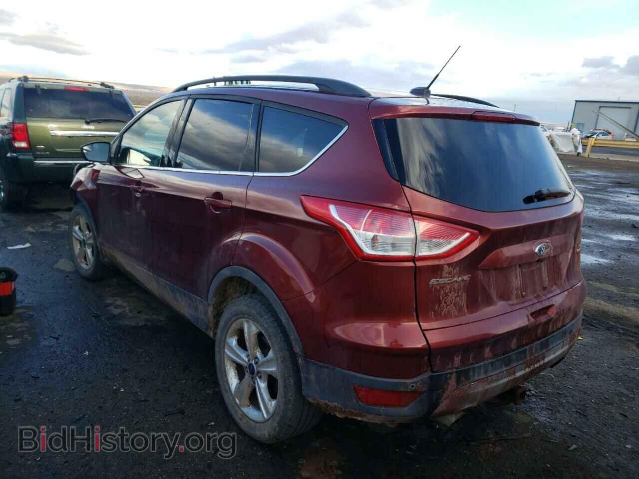 2014 FORD ESCAPE - VIN: 1FMCU9G92EUE45684 - Фото 2