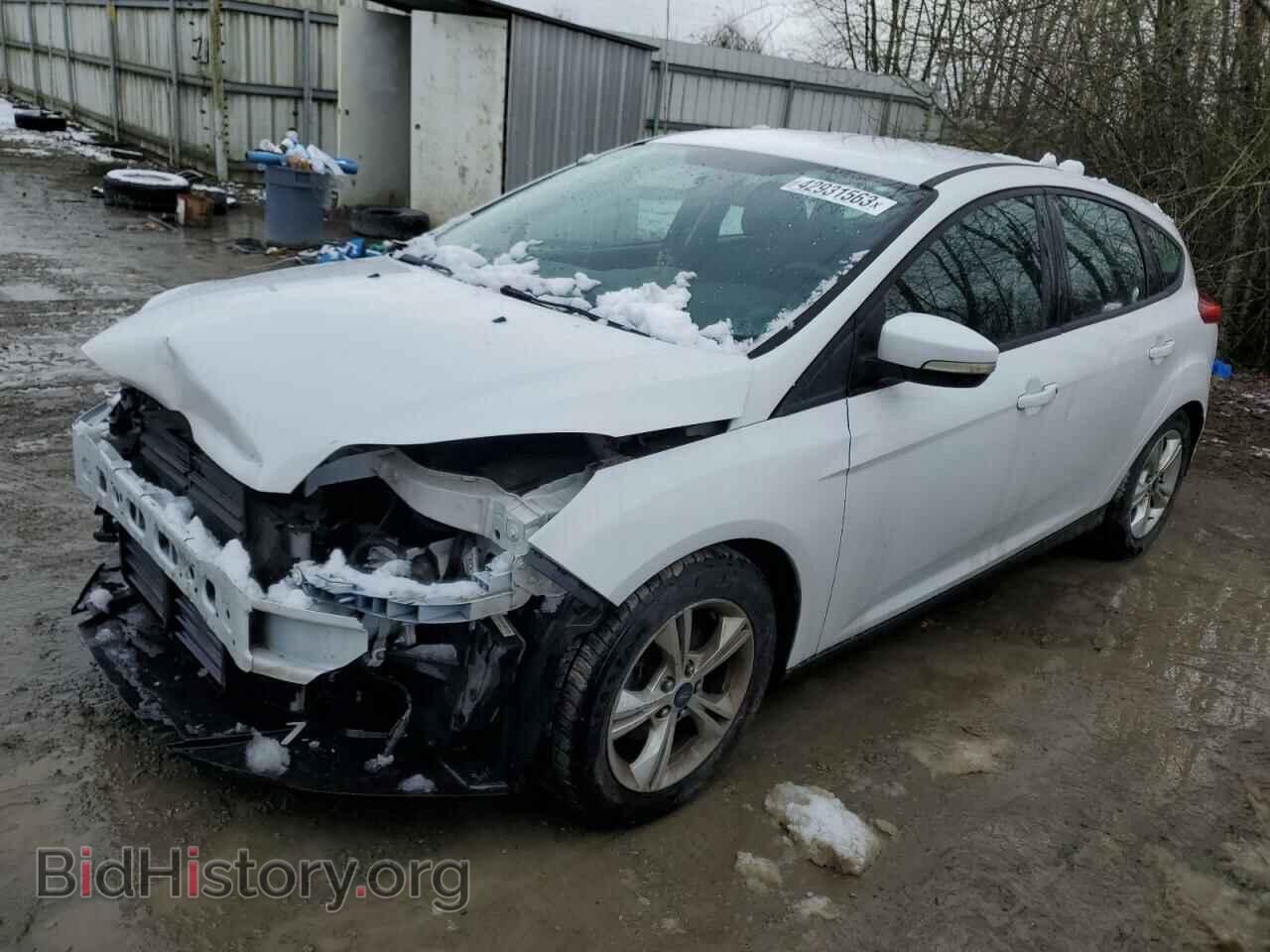 Photo 1FADP3K21DL227186 - FORD FOCUS 2013