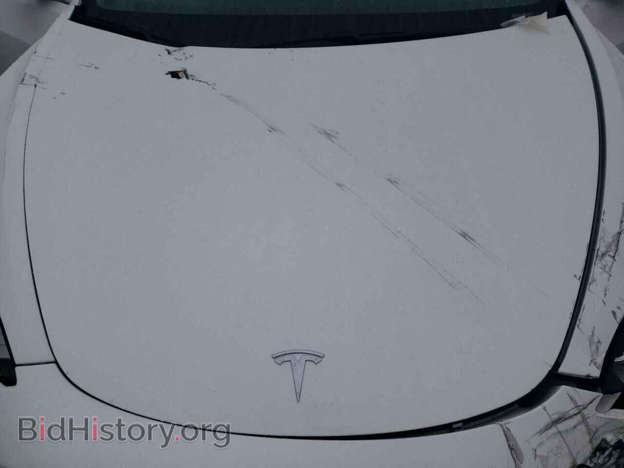 2019 TESLA MODEL 3 - VIN: 5YJ3E1EA8KF485000 - Фото 12