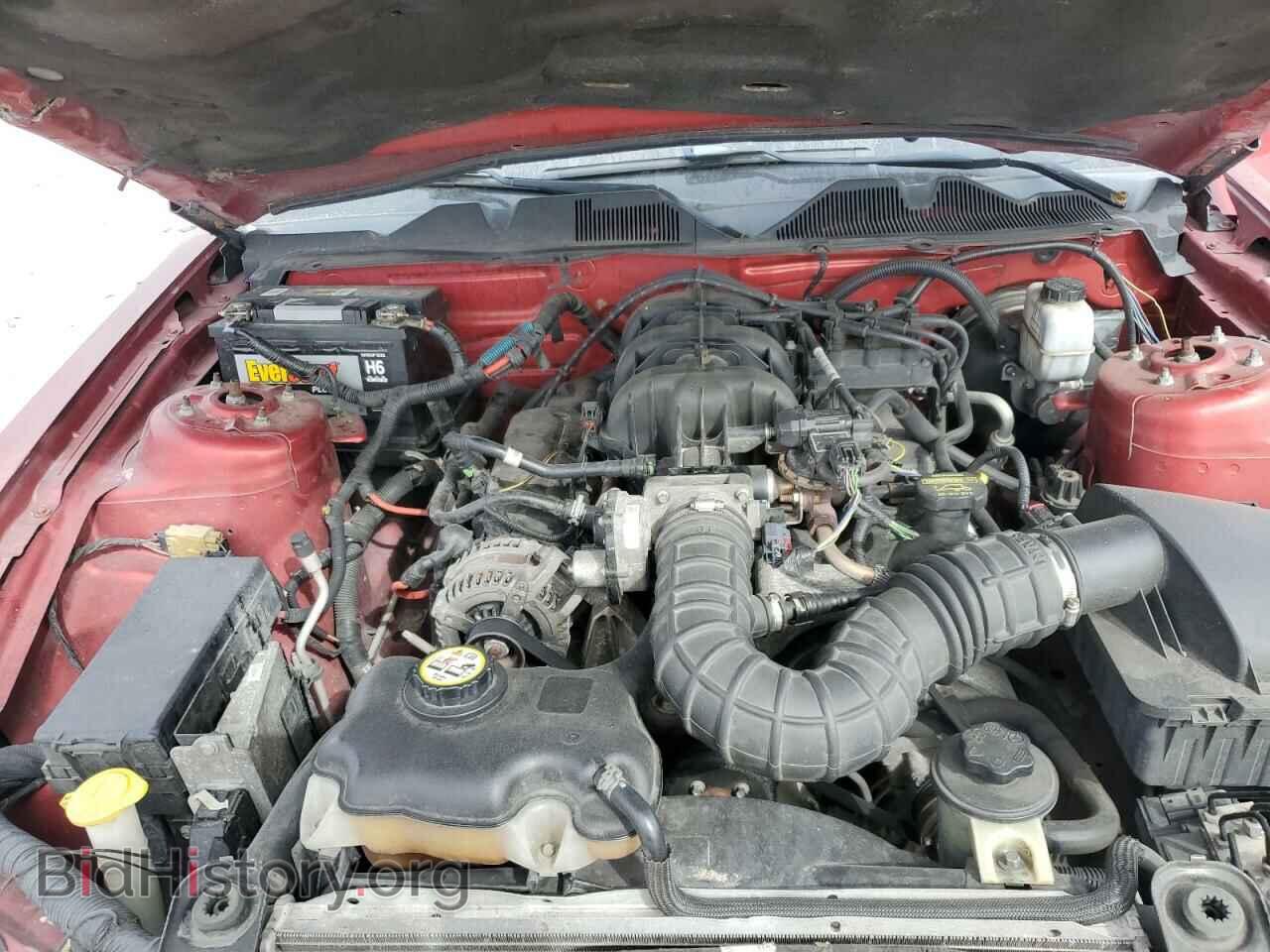 2010 FORD ALL Models - VIN: 1ZVBP8AN2A5111910 - Фото 11