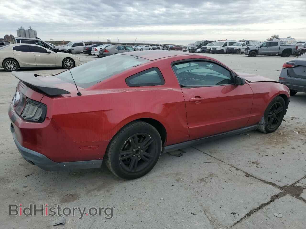 2010 FORD ALL Models - VIN: 1ZVBP8AN2A5111910 - Фото 3