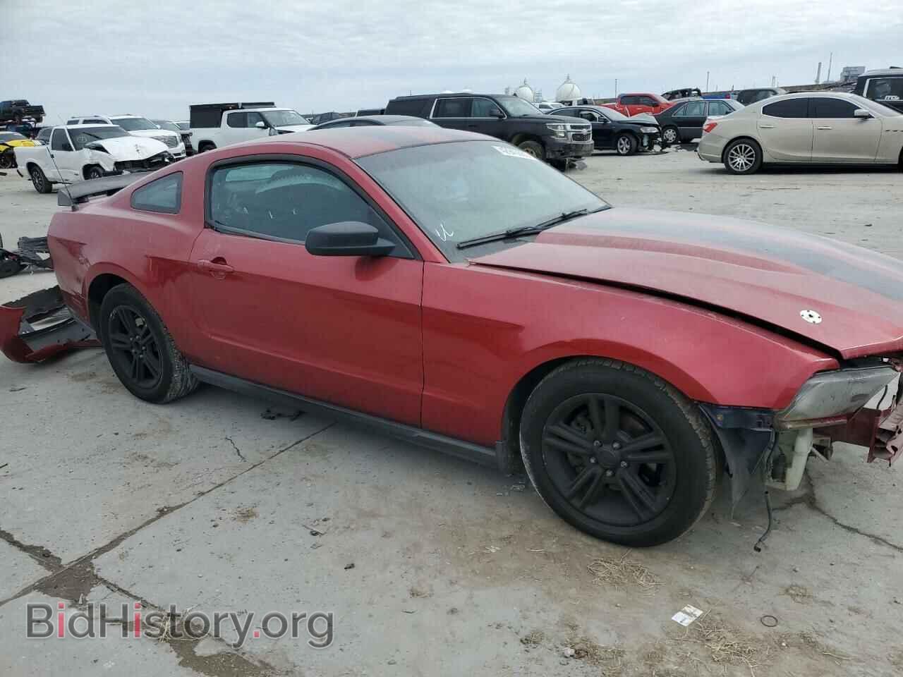 2010 FORD ALL Models - VIN: 1ZVBP8AN2A5111910 - Фото 4