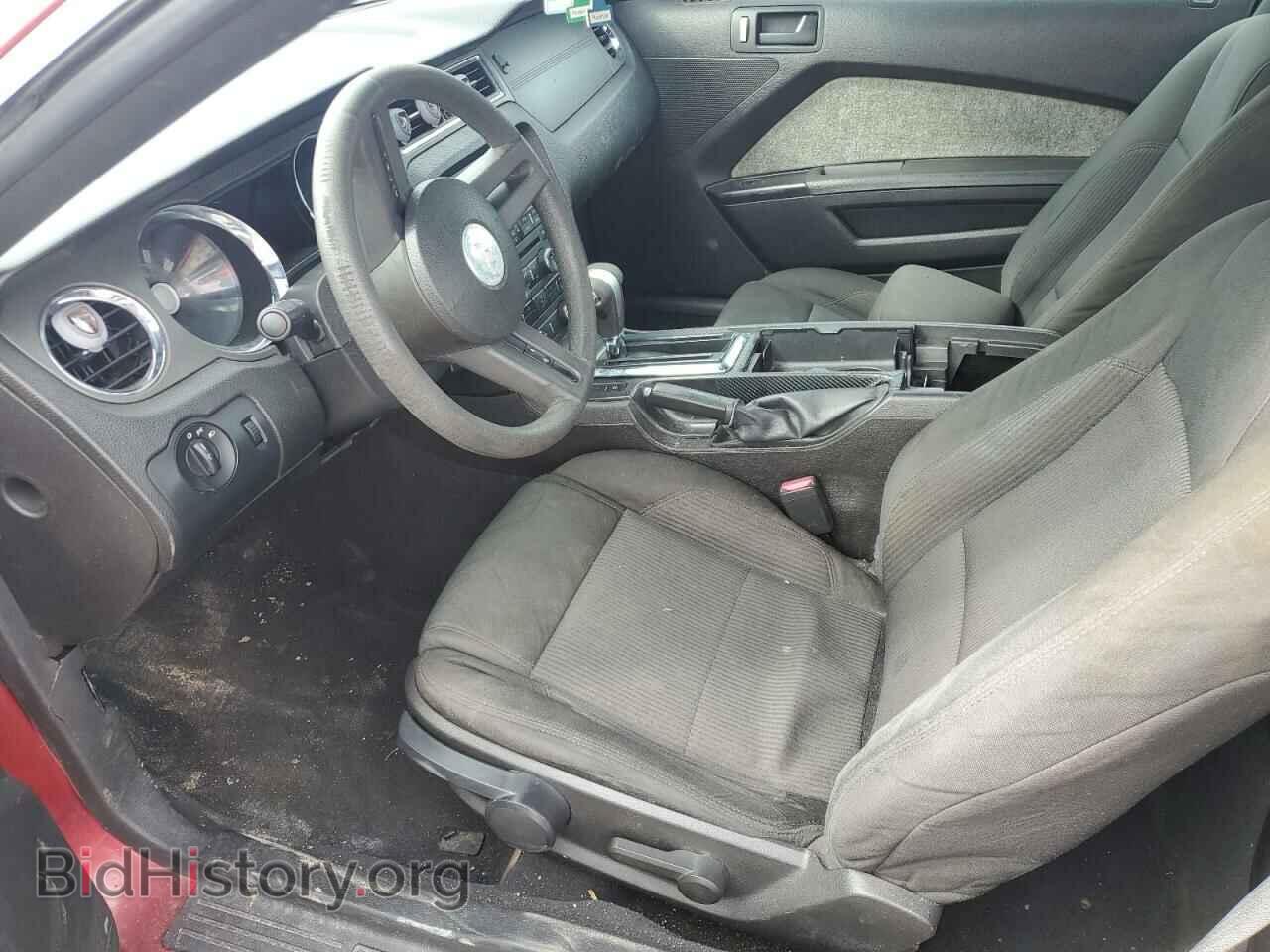 2010 FORD ALL Models - VIN: 1ZVBP8AN2A5111910 - Фото 7