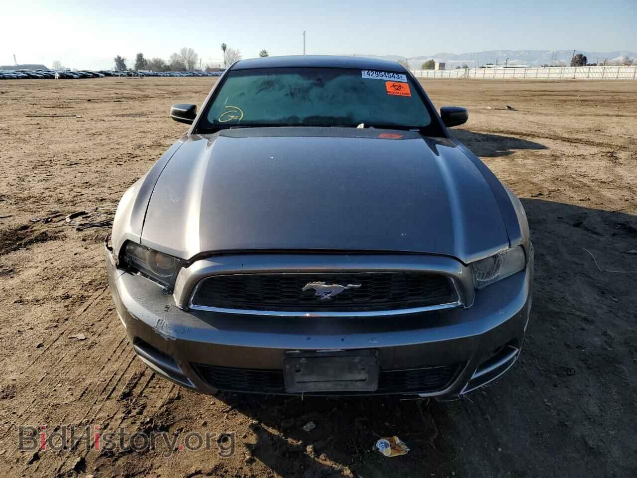 2013 FORD MUSTANG - VIN: 1ZVBP8AM1D5282644 - Фото 5