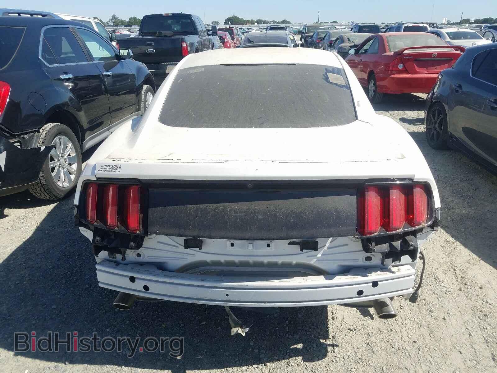 2017 FORD MUSTANG - VIN: 1FA6P8CF5H5208089 - Фото 9