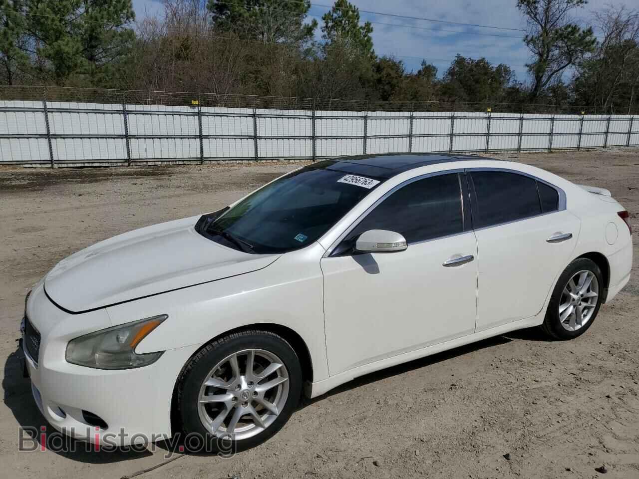 Фотография 1N4AA5AP5BC860333 - NISSAN MAXIMA 2011