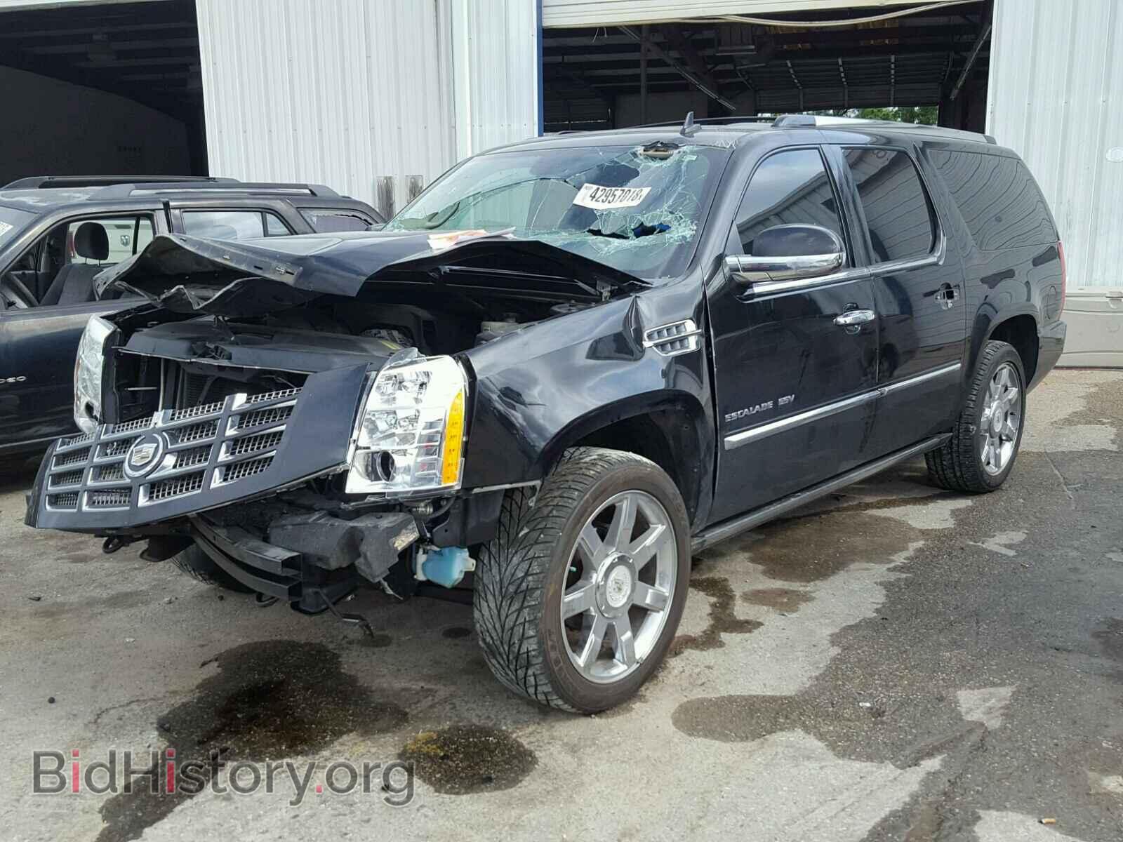2011 CADILLAC ESCALADE E - VIN: 1GYS4JEF4BR121395 - Фото 2