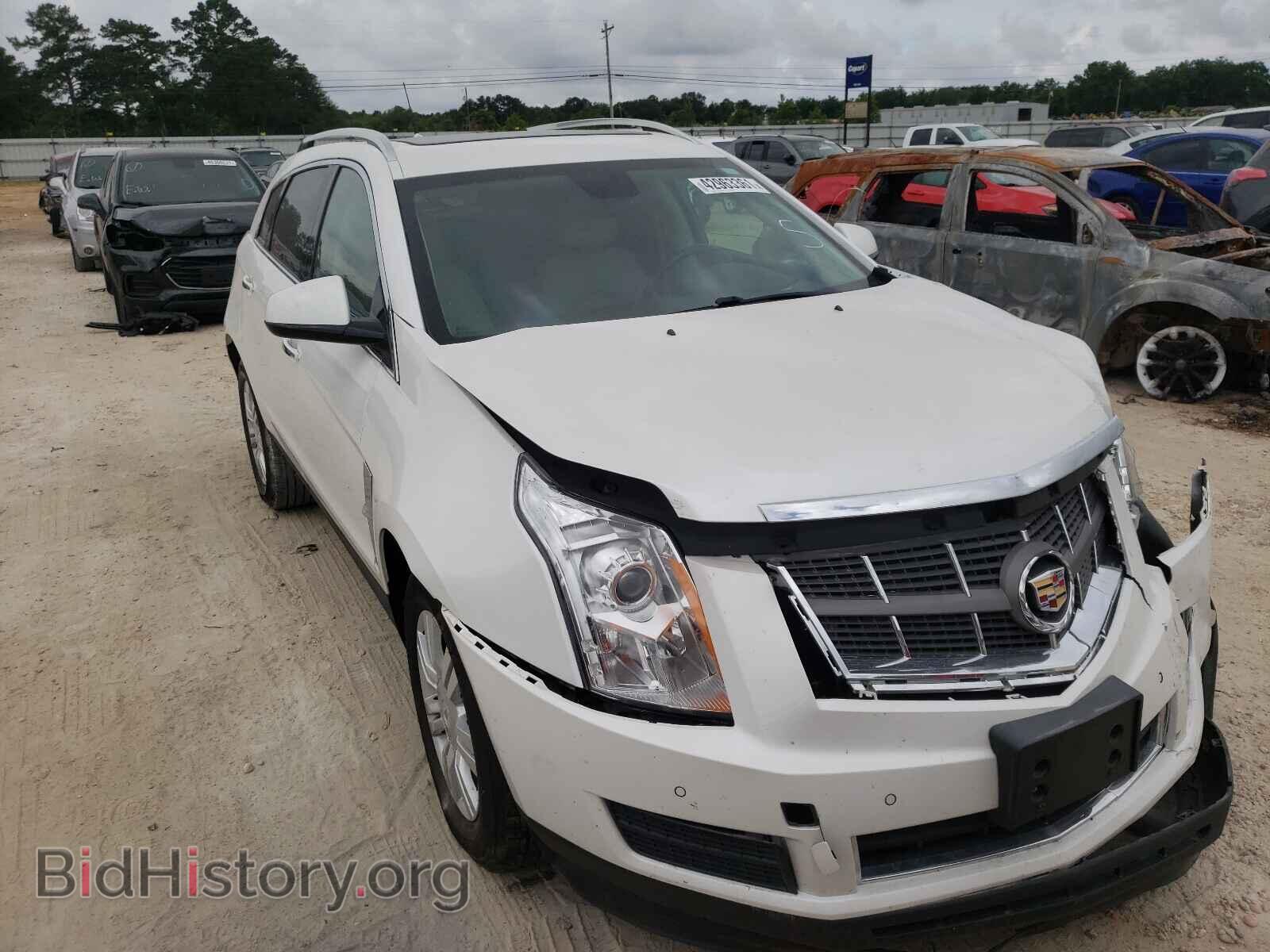 Фотография 3GYFNAE31CS643985 - CADILLAC SRX 2012