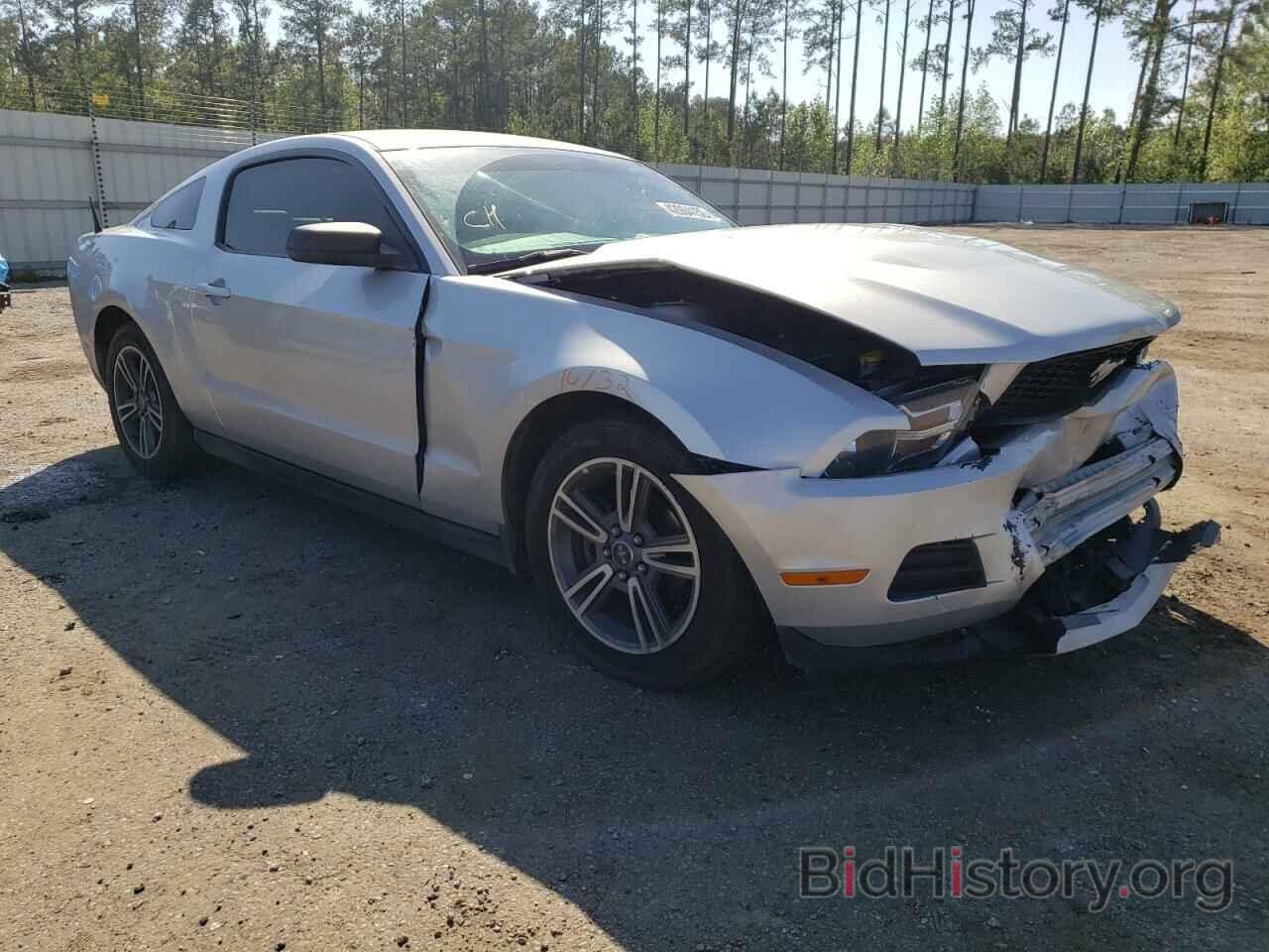 Photo 1ZVBP8AN7A5154607 - FORD MUSTANG 2010