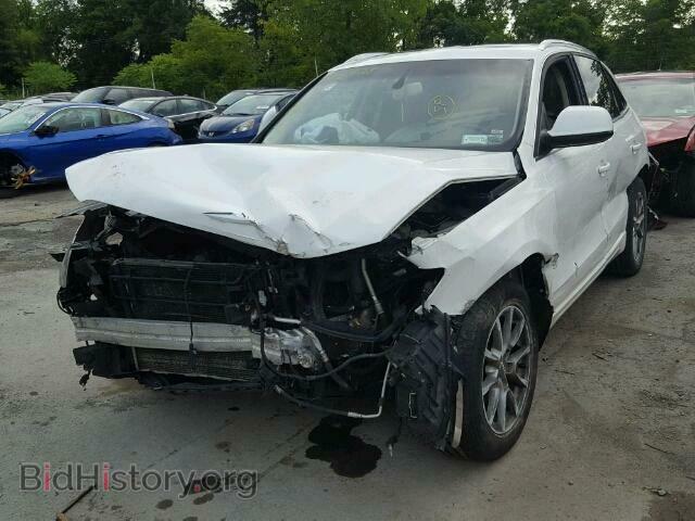 2010 AUDI Q5 - VIN: WA1CKAFP3AA016801 - Фото 2