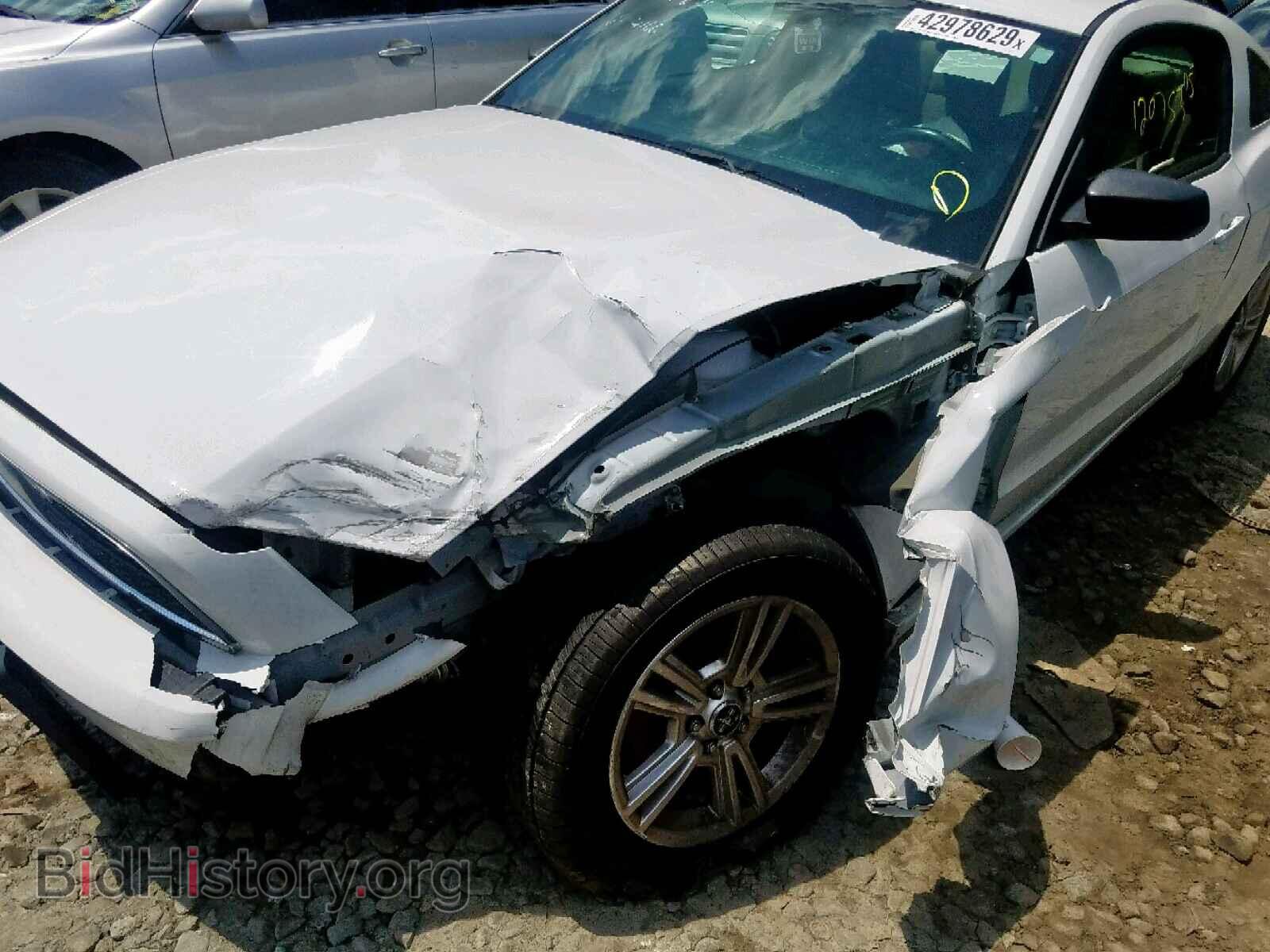 2014 FORD MUSTANG - VIN: 1ZVBP8AM8E5314166 - Фото 9