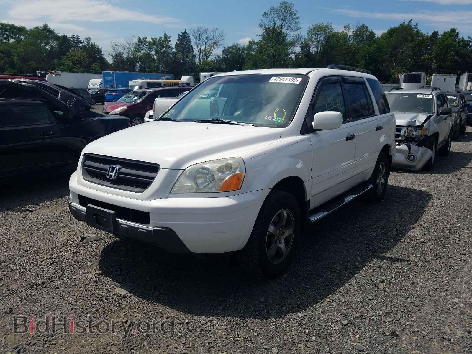 2005 HONDA PILOT - VIN: 2HKYF18695H516545 - Фото 2