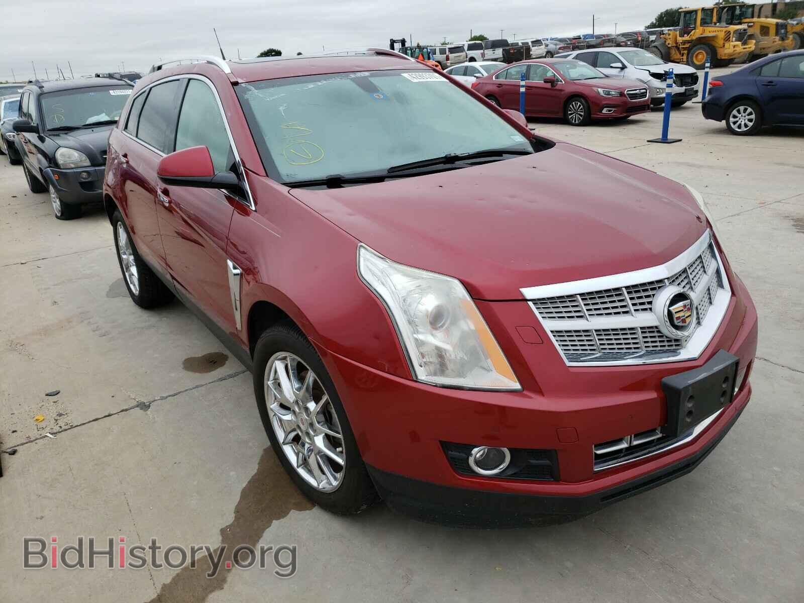 Фотография 3GYFNDE32DS519100 - CADILLAC SRX 2013