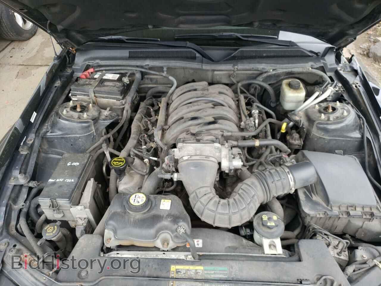 2006 FORD MUSTANG - VIN: 1ZVFT82H165247443 - Фото 7