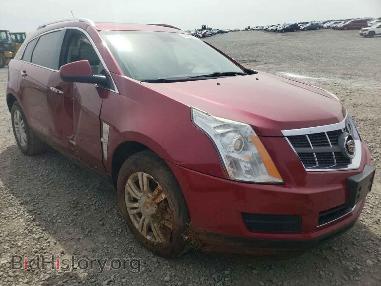 Фотография 3GYFNAE36CS550265 - CADILLAC SRX 2012