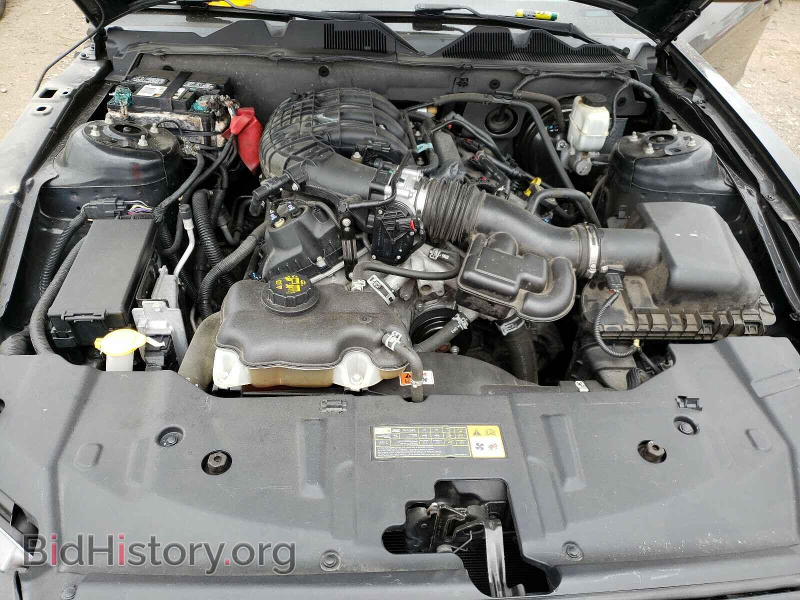 2014 FORD MUSTANG - VIN: 1ZVBP8AM5E5308163 - Фото 7