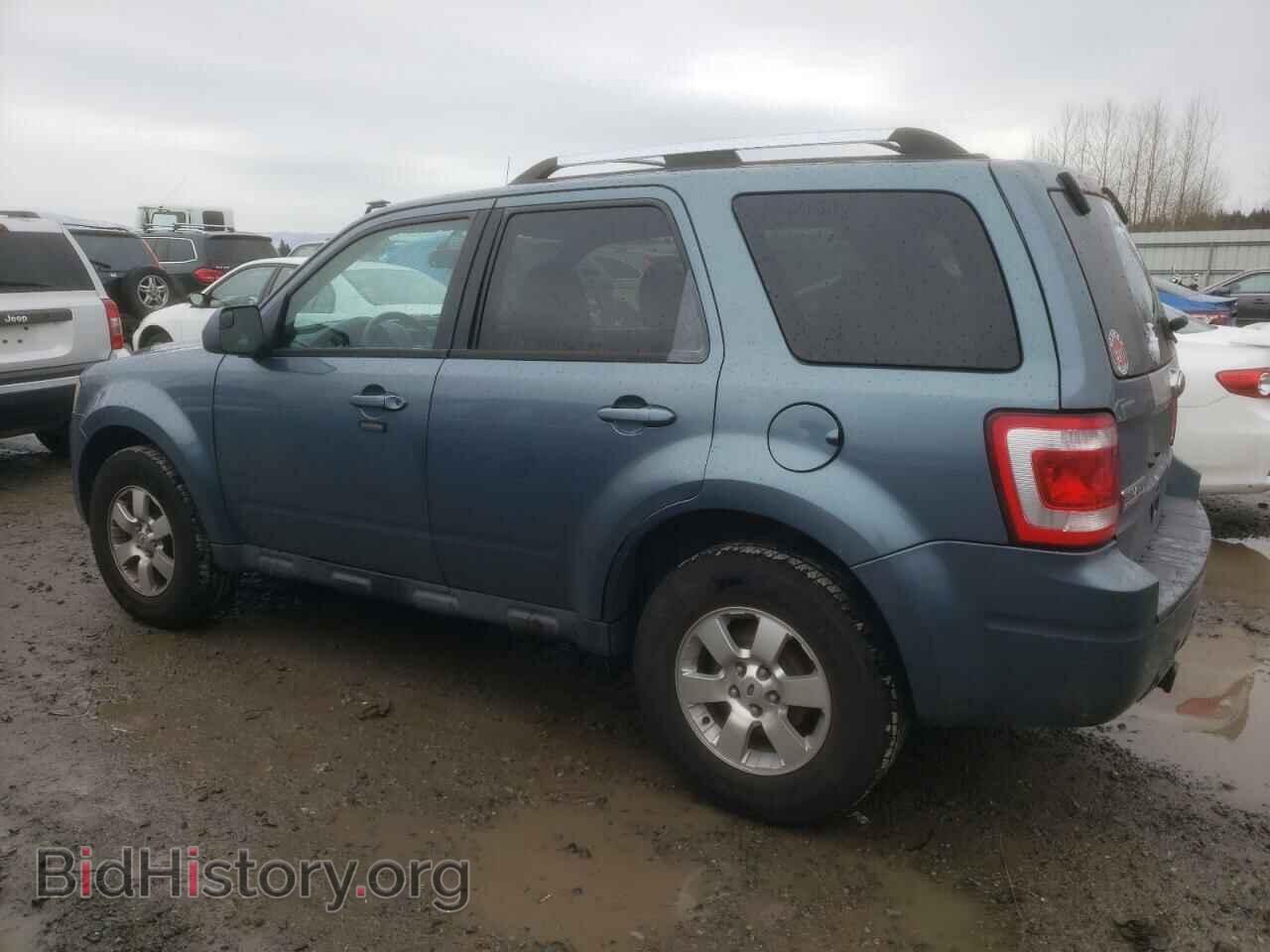 2011 FORD ESCAPE - VIN: 1FMCU9EG8BKA62583 - Фото 2