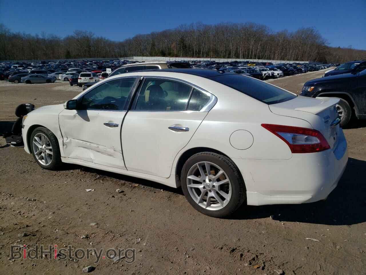 2010 NISSAN MAXIMA - VIN: 1N4AA5AP7AC807678 - Фото 2