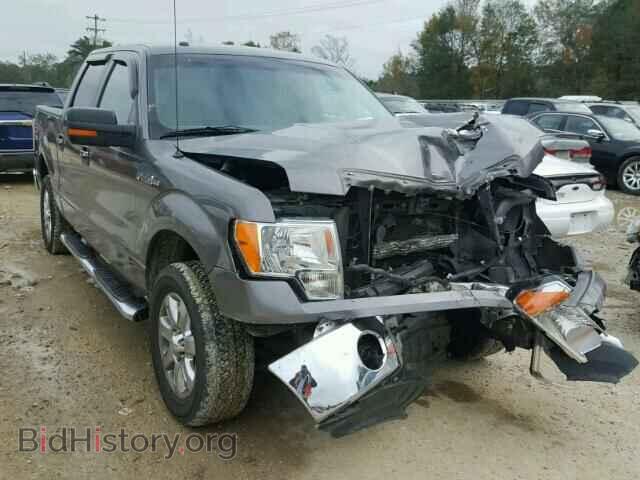 Фотография 1FTFW1CF2DFD63210 - FORD F150 2013