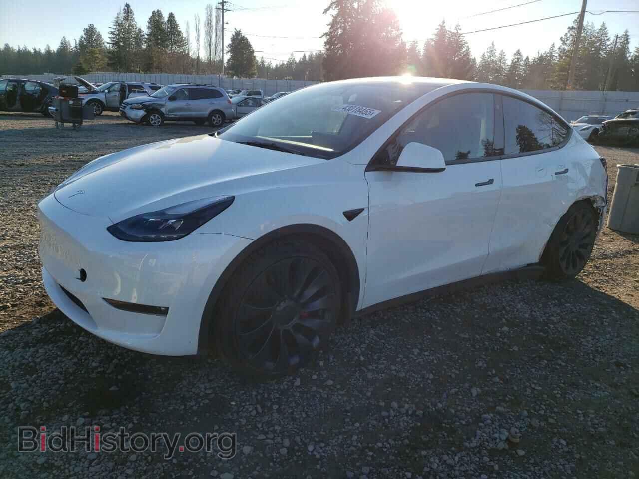 Photo 7SAYGDEF5PF711548 - TESLA MODEL Y 2023