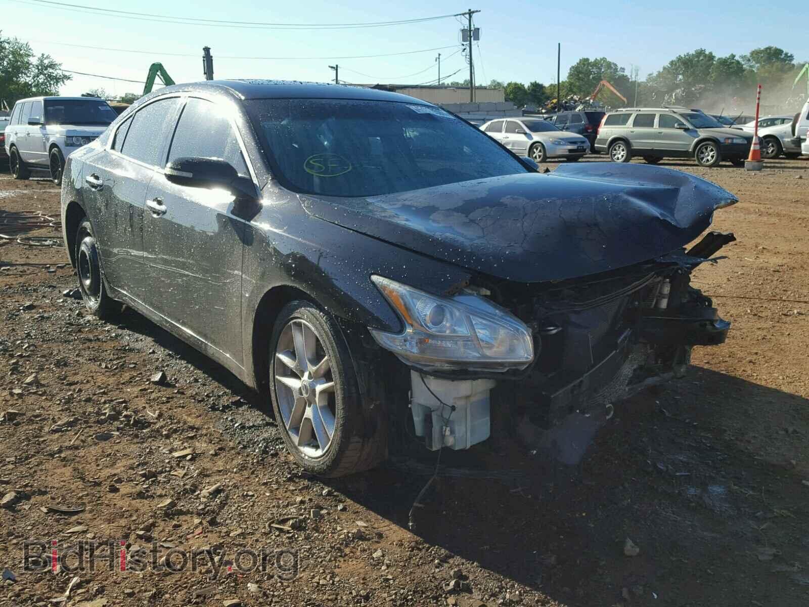 Фотография 1N4AA5AP1AC818546 - NISSAN MAXIMA 2010