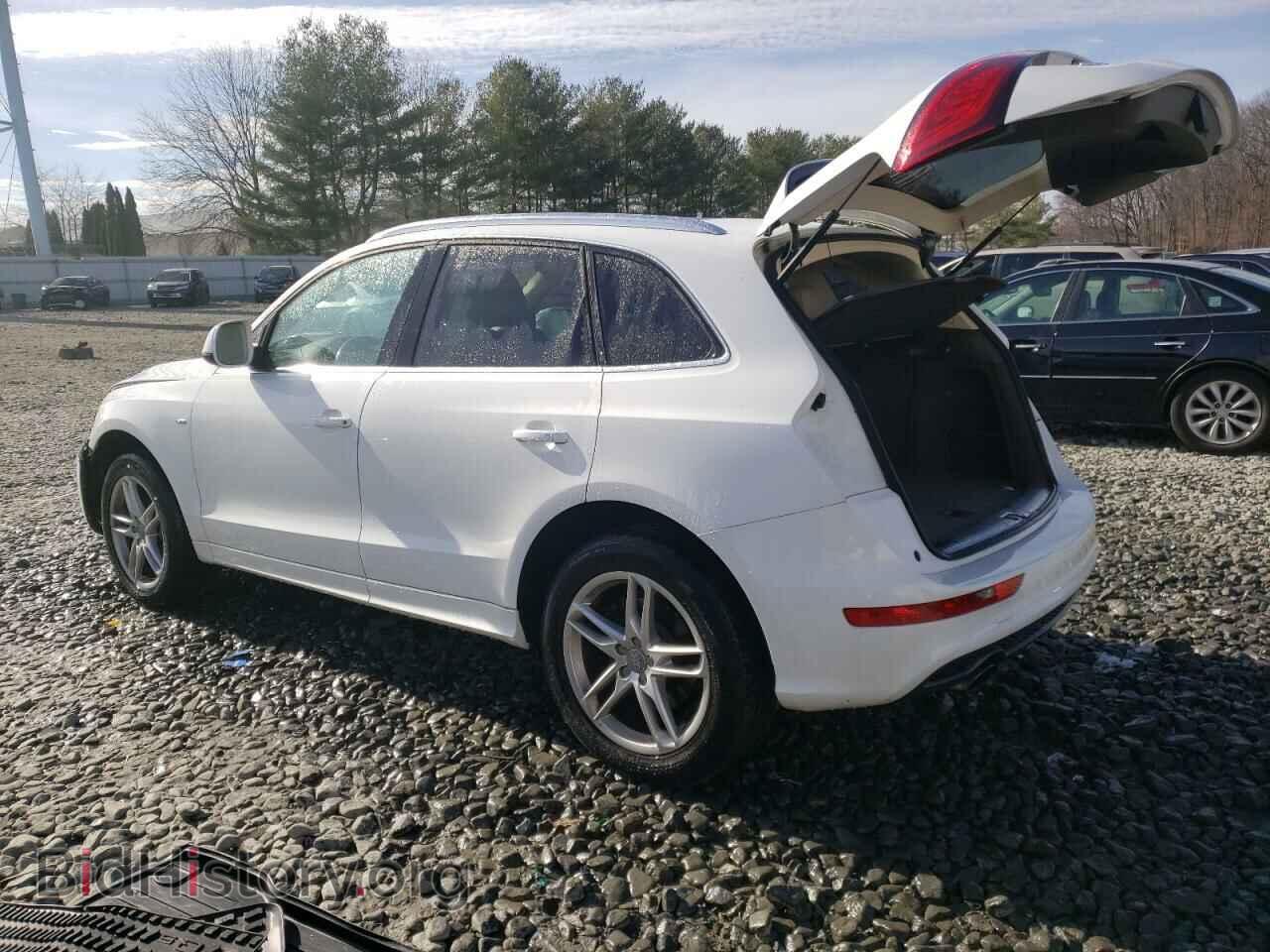 2013 AUDI Q5 - VIN: WA1DGAFP0DA073855 - Фото 2