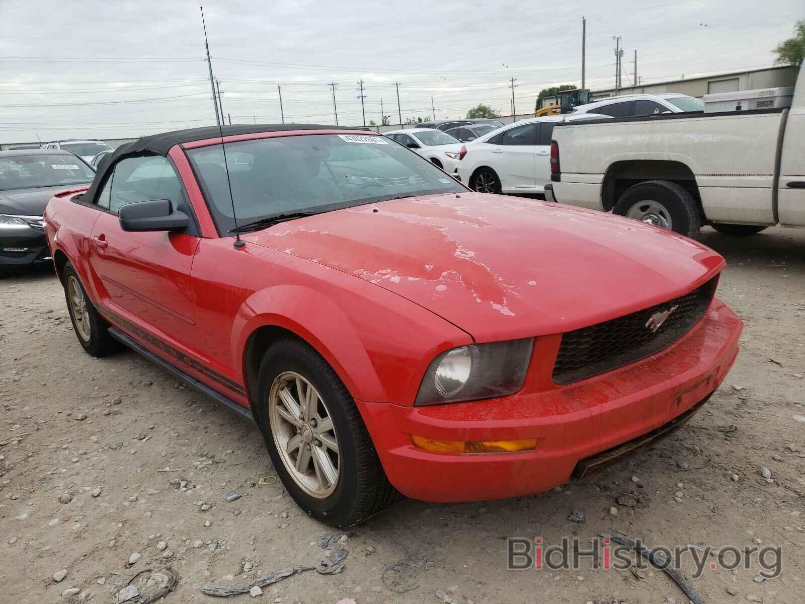 Photo 1ZVHT84N585144881 - FORD MUSTANG 2008