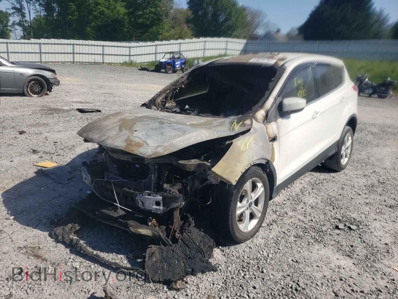2013 FORD ESCAPE - VIN: 1FMCU0GX5DUA54926 - Фото 2
