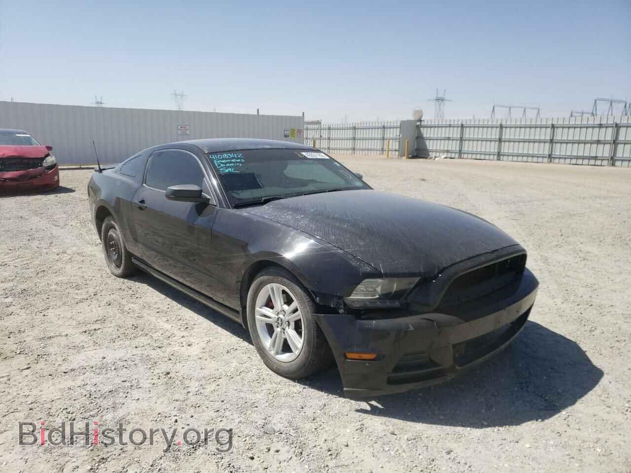 Фотография 1ZVBP8AM4E5291839 - FORD MUSTANG 2014