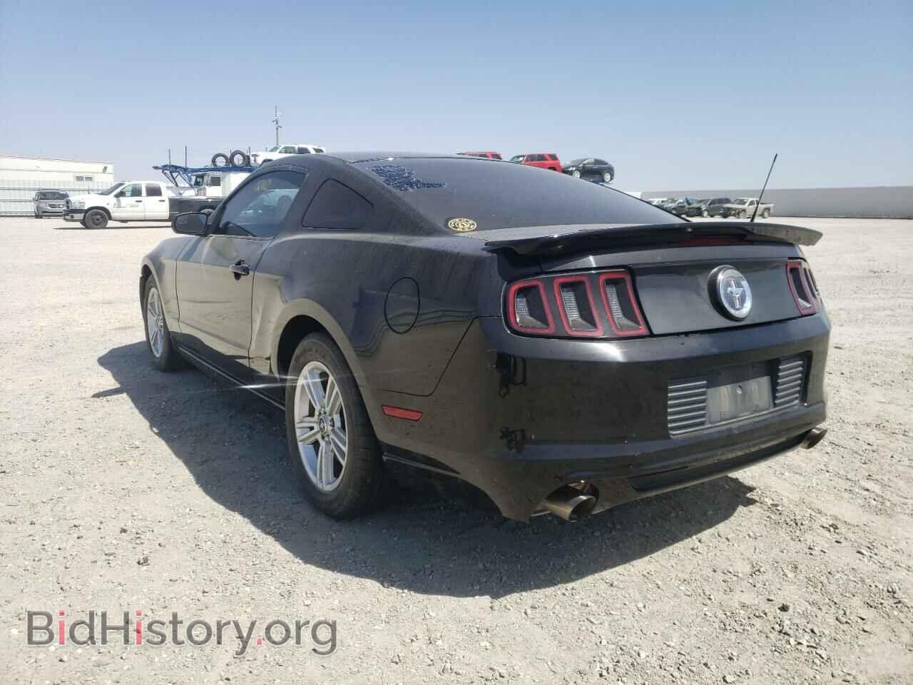 2014 FORD MUSTANG - VIN: 1ZVBP8AM4E5291839 - Фото 3