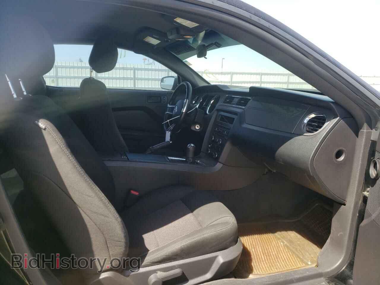 2014 FORD MUSTANG - VIN: 1ZVBP8AM4E5291839 - Фото 5