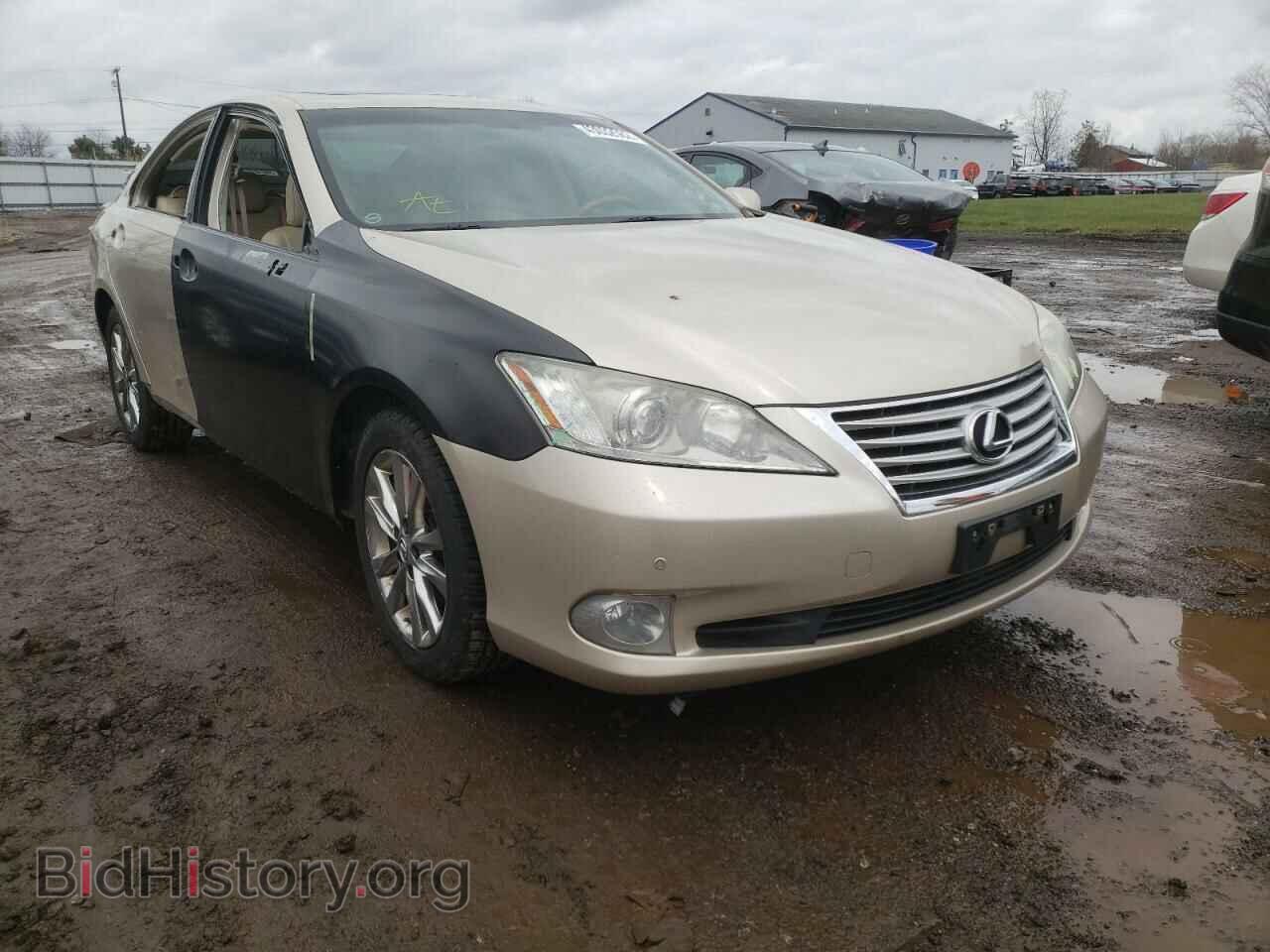 Photo JTHBK1EG2A2387217 - LEXUS ES350 2010