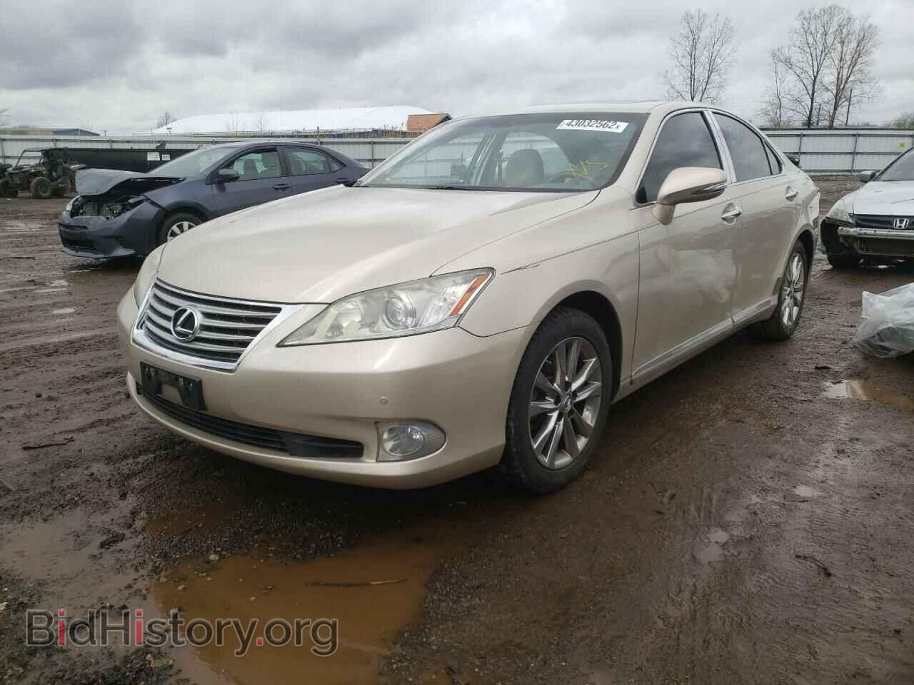 2010 LEXUS ES350 - VIN: JTHBK1EG2A2387217 - Фото 2