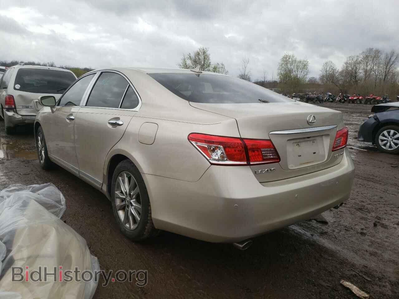 2010 LEXUS ES350 - VIN: JTHBK1EG2A2387217 - Фото 3