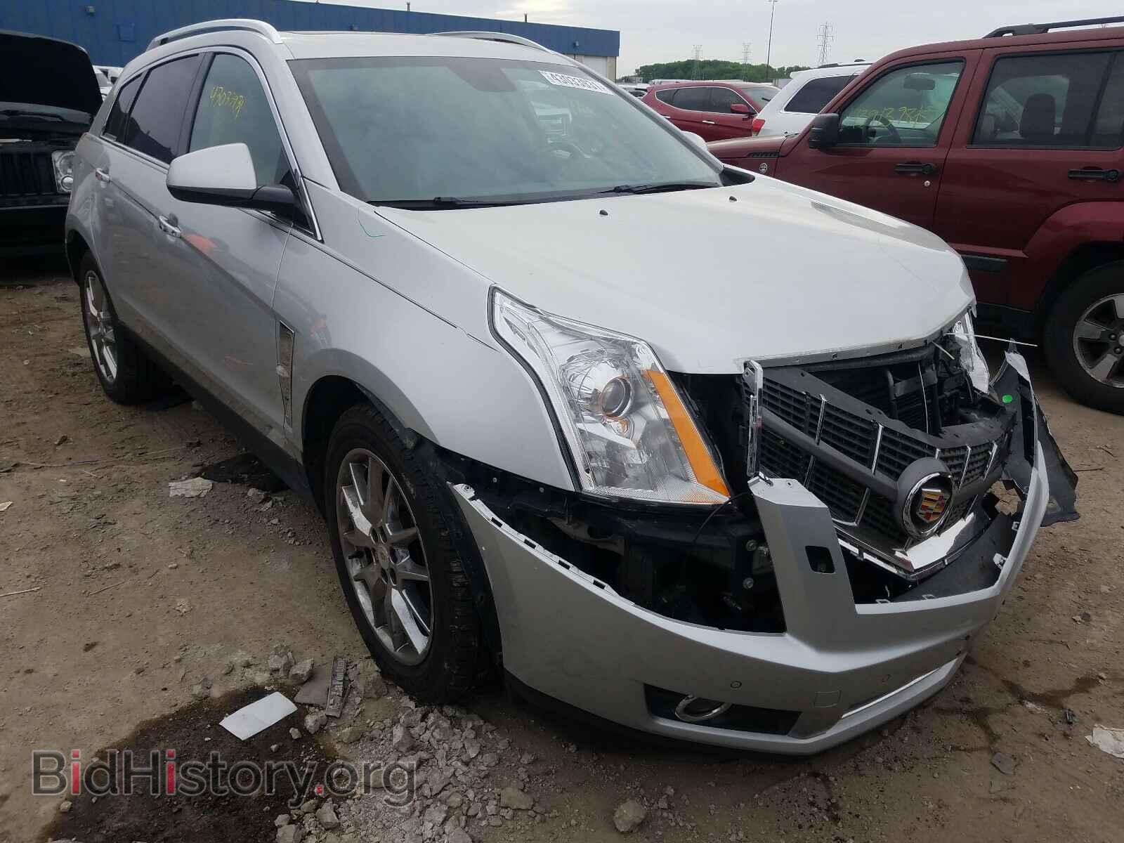 Фотография 3GYFNFEY0AS504310 - CADILLAC SRX 2010