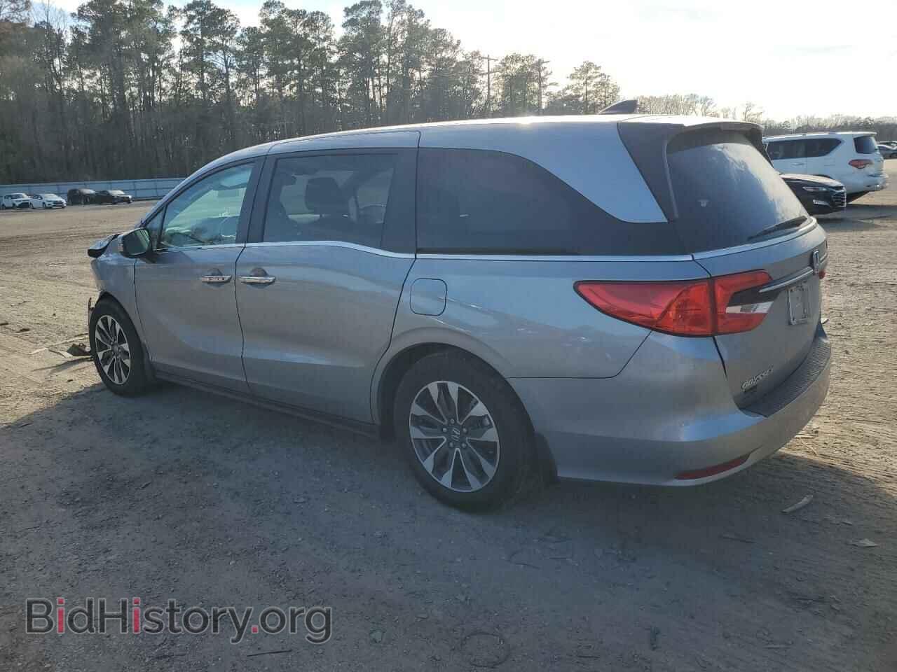 2023 HONDA All Models - VIN: 5FNRL6H64PB037591 - Фото 2