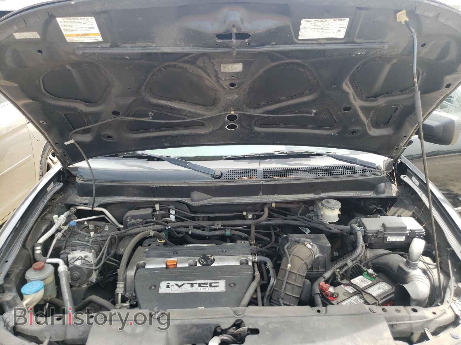 2008 HONDA ELEMENT - VIN: 5J6YH183X8L003783 - Фото 7