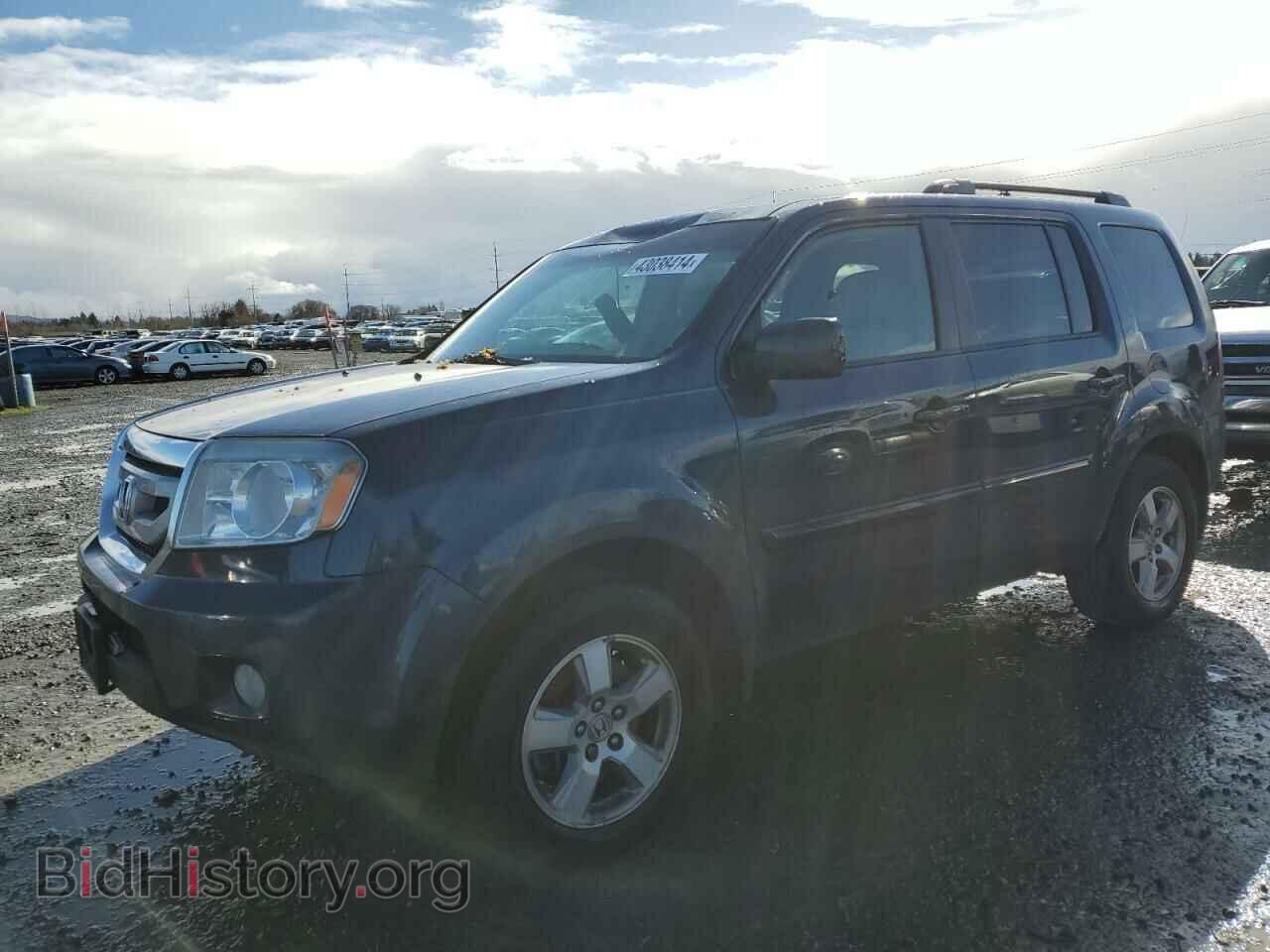 Фотография 5FNYF48549B031839 - HONDA PILOT 2009