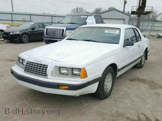 1984 FORD TBIRD - VIN: 1FABP4637EA177651 - Фото 2