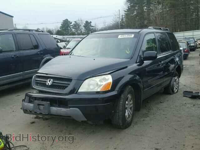 2005 HONDA PILOT - VIN: 2HKYF18465H565362 - Фото 2
